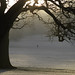 Dawn Wood Photo 33