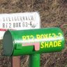 Mark Shade Photo 3