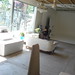 Elizabeth Mercurio Photo 9