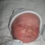 Amanda Laughlin Photo 24