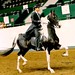 Lindsey Ward Photo 21