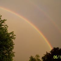 Ann Bradford Photo 20