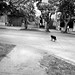 Linda Bernal Photo 20