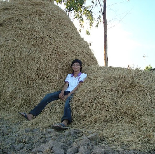 Vinh Luu Photo 5