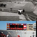 Randall Ellis Photo 17