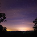 Dawn Tuttle Photo 10