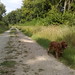 Richard Farley Photo 13