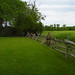 Denise Wolfe Photo 32