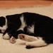 Dennis Weber Photo 18