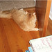 Richard Lanham Photo 18