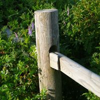Shirley Tripp Photo 26