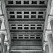 Edward Dougherty Photo 16
