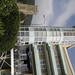 Rex Wight Photo 6