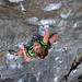 Laura Crowe Photo 16