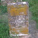 Thomas Jobe Photo 16