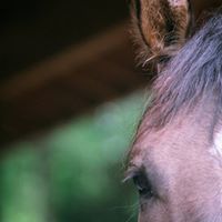 Kelly Richey Photo 24