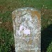 Henry Cook Photo 34