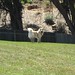 Marshall Smith Photo 52