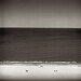 Harry Callahan Photo 10
