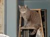 Cathy Theisen Photo 7
