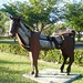 James Burnes Photo 34
