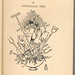 Constance Cook Photo 7
