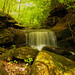 Gary Sprague Photo 1