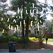 Joann Nolan Photo 7