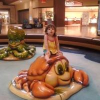 Shelley Estes Photo 8