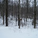 Jeff Robb Photo 44