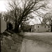 Charles Baxley Photo 14