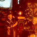 Bobbie Chestnut Photo 5