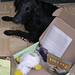 Heather Duckworth Photo 13