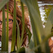 Heidi Mills Photo 19