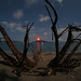 Robin Welch Photo 9