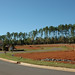 Cary Clay Photo 13