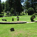 Sharon Graves Photo 38