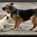 Eddie Shepherd Photo 17