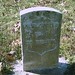 Albert Reed Photo 30