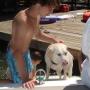 Michael Bosse Photo 8