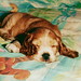 Hollie Winters Photo 11