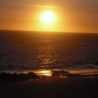 Tracy Sayers Photo 8