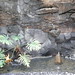 Faustino Garcia Photo 9