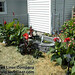 Willard Freeman Photo 5