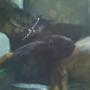 Joyce Butler Photo 16