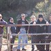 Judith Weis Photo 16