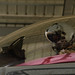 Derrick Franck Photo 7