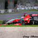 Albert Grassi Photo 7