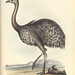 Rhea Cook Photo 10