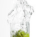 Tosha White Photo 14